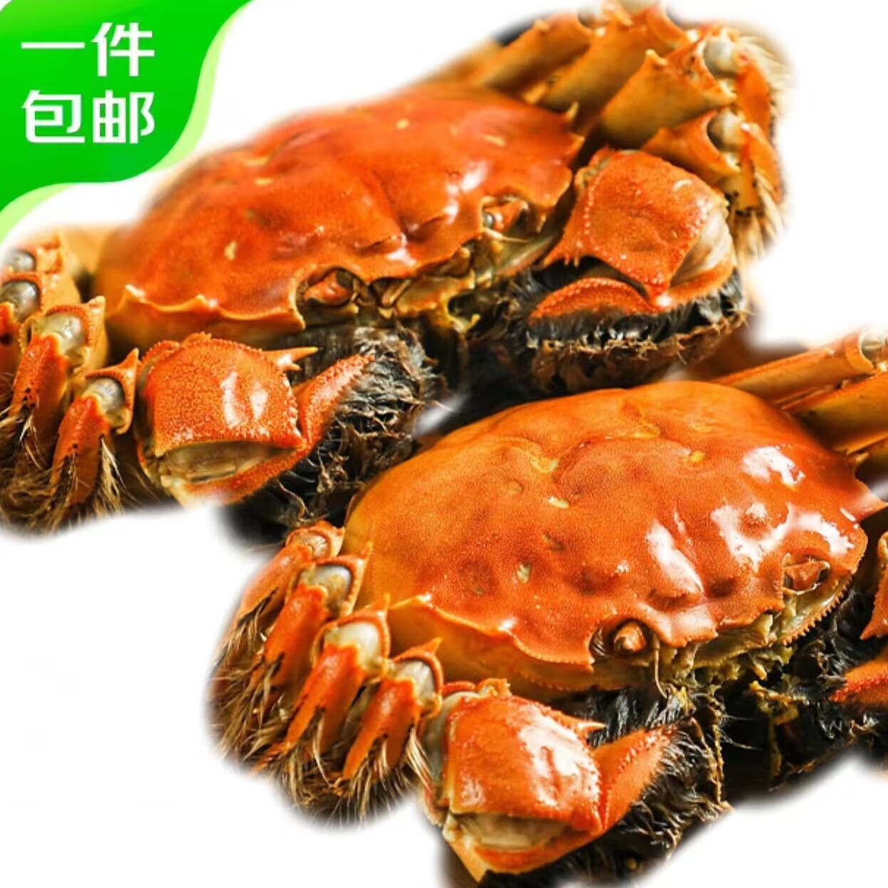 【自营】蟹甲子 大闸蟹全母蟹2.0-2.3两8只，京东冷链p仅付117亓包邮，才14.6/只*质量/售后靠谱 爱吃的安排插图